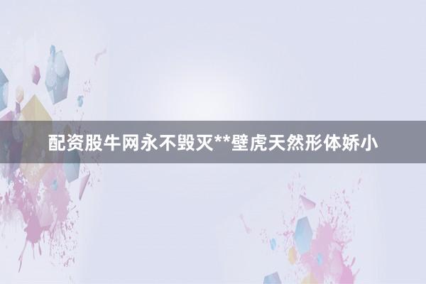 配资股牛网永不毁灭**壁虎天然形体娇小