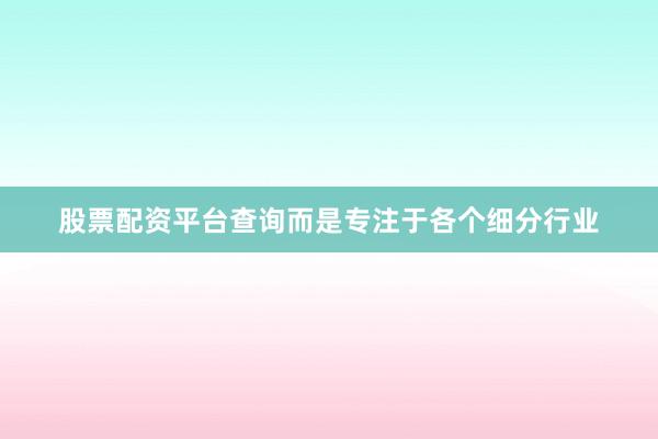 股票配资平台查询而是专注于各个细分行业